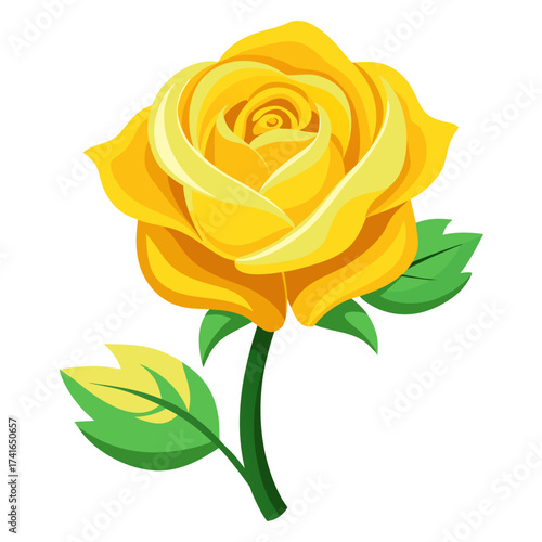 yellow rose vector  on white background 
