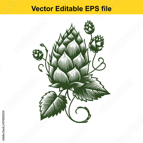 Vector art of green hop plant with cones and leaves
