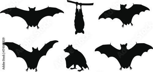Bat silhouettes flying and hanging, black wildlife illustration, rodent animal design, nocturnal creatures, gothic art, dark nature, biology study, Halloween concept