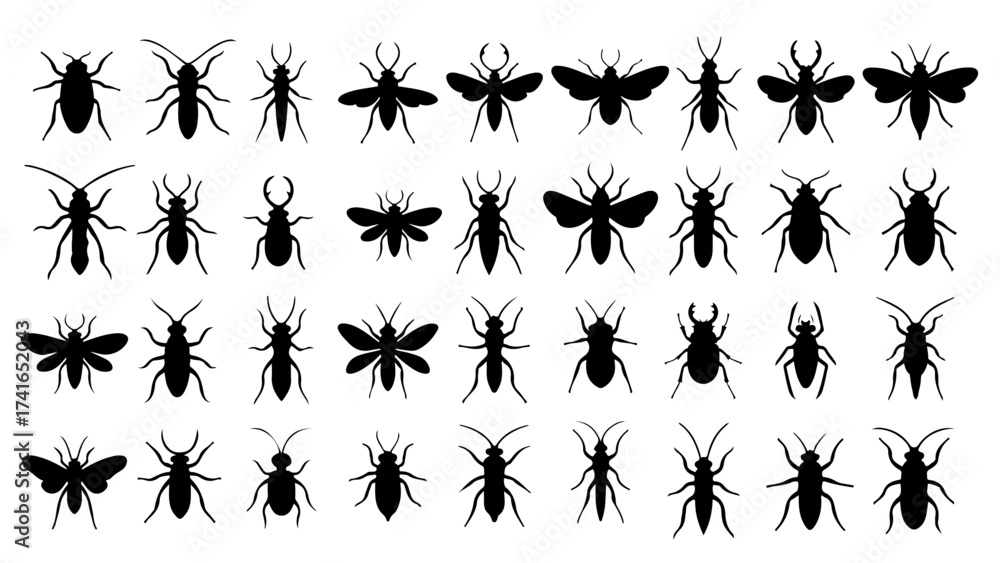 Fototapeta premium Unique Insect Silhouettes – Minimalist Flat Black Vector Icons, Flying, Crawling, Stinging, Exotic & Fantasy Insects