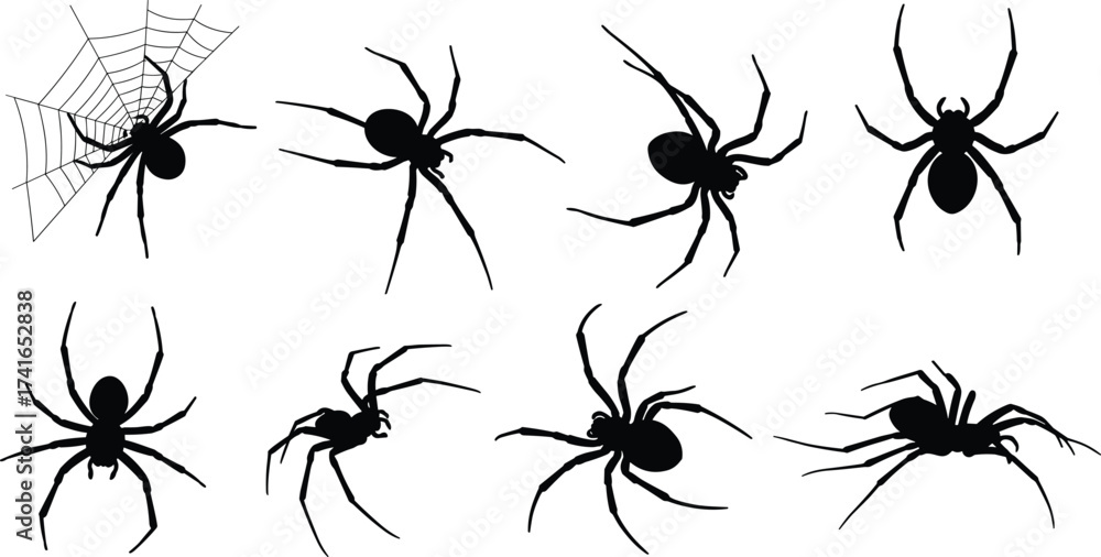Obraz premium Spider silhouettes crawling and on web, black arachnid illustration, creepy insect design, wildlife study, Halloween theme, dark nature, arachnology art concept