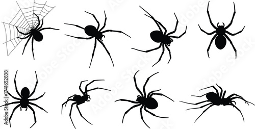 Spider silhouettes crawling and on web, black arachnid illustration, creepy insect design, wildlife study, Halloween theme, dark nature, arachnology art concept