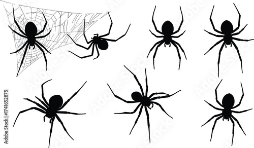 Photography Spider silhouettes on web and ground, black arachnid illustration, creepy insect