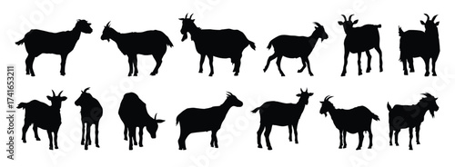 goat and goat kid silhouette set. goat and goat kid isolated farm animal silhouette icon vector collection