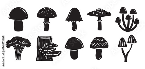 mushrooms silhouette monochrome with patterns illustration set. Trendy mushroom creative fabulous mystic folklore collection