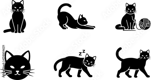 Set of cat vector icon