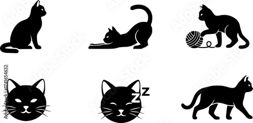 Set of cat vector icon