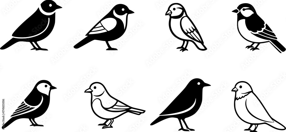 Obraz premium Set of bird vector icon