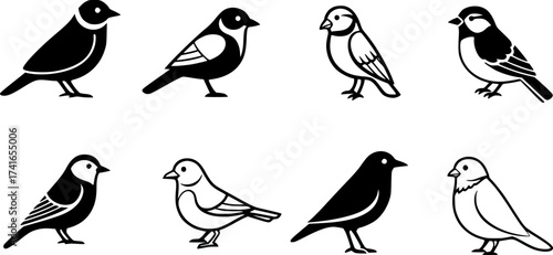 Set of bird vector icon