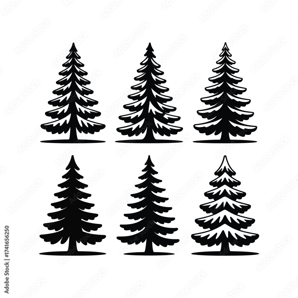 Fototapeta premium Six distinctive evergreen tree silhouettes