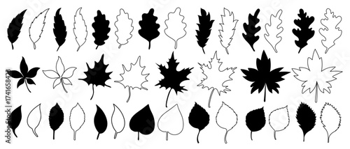 Big set of black silhouettes and outlines of various vector fall foliage arranged in a row of maple leaves in hand drawn style. Perfect for fall graphics, seasonal designs and Canadian-themed artwork.