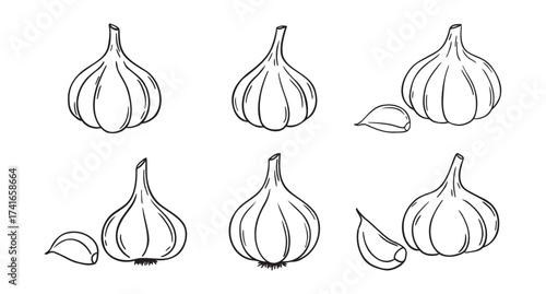 garlic doodle hand drawn icon set. Outline drawing garlic line clipart symbol collection