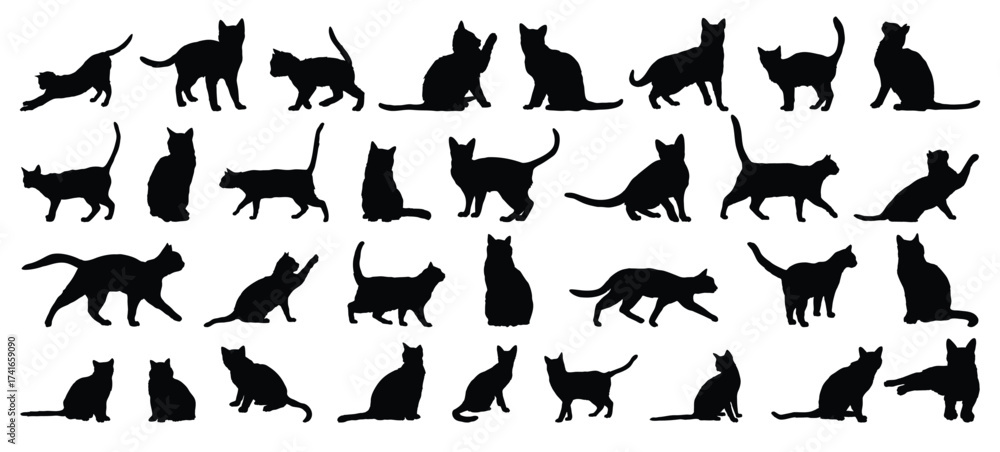 Fototapeta premium cat silhouette set. cat or kitty isolated farm animal silhouette icon vector collection