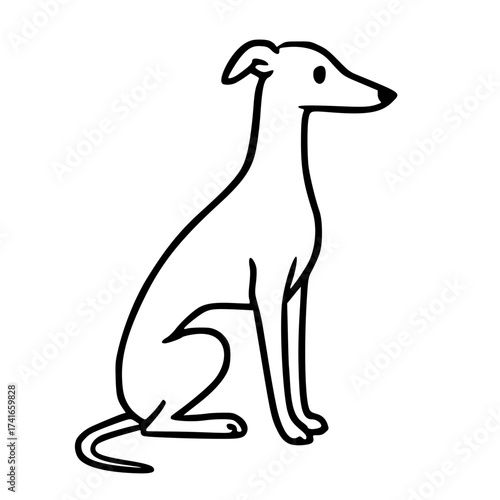 Simple hand drawn dog outline, Italian Greyhound, Whippet, Greyhound, Sighthound. Transparent background