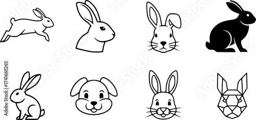 Set of rabbit vector icon