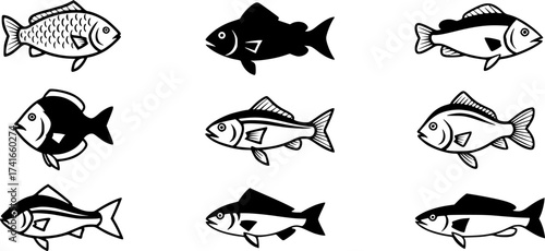 Set of fish vector icon