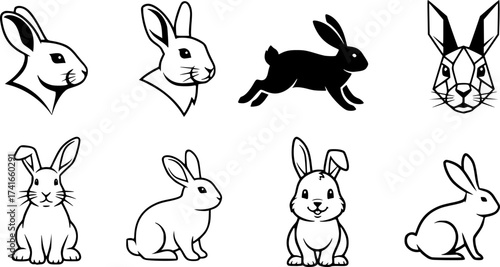 Set of rabbit vector icon