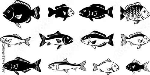 Set of fish vector icon