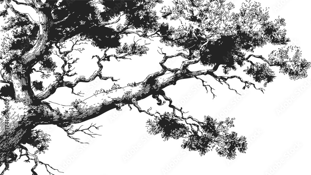 Fototapeta premium Tree branch sketch, hand drawn vector with detailed leaves and textured bark — stock vector