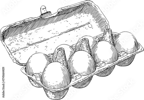 Egg carton sketch, hand drawn style with six eggs in open paper tray — stock vector