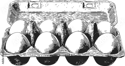 Egg carton sketch, hand drawn style, open box with ten eggs inside — stock vector