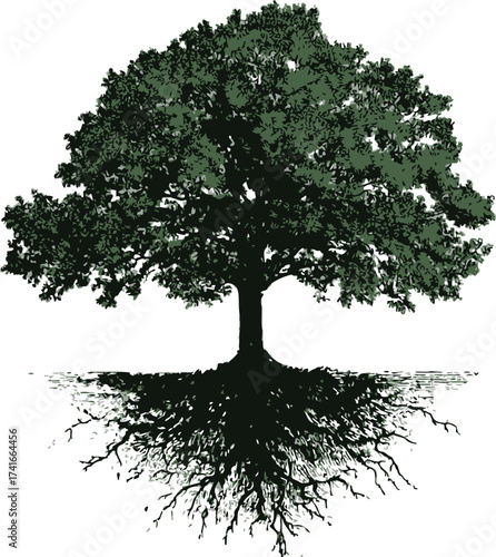 Tree sketch hand drawn with roots detailed silhouette nature concept — stock vector