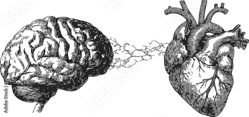 Brain and heart sketch, hand drawn style, symbolic connection between mind and emotions — stock vector