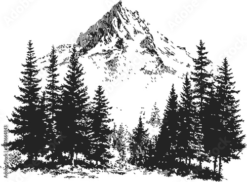 Mountain landscape sketch, hand drawn pine trees and rocky peak scenery — stock vector