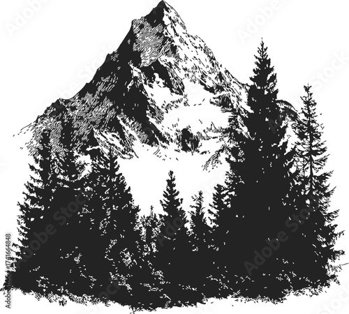 Mountain peak sketch, hand drawn with pine trees in foreground — stock vector