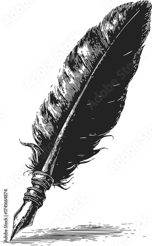 Quill pen sketch, hand drawn feather writing tool with detailed line art — stock vector