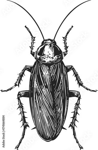 Cockroach sketch hand drawn insect detailed black and white illustration — stock vector