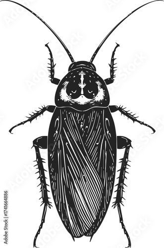 Cockroach sketch hand drawn insect detailed black and white isolated — stock vector