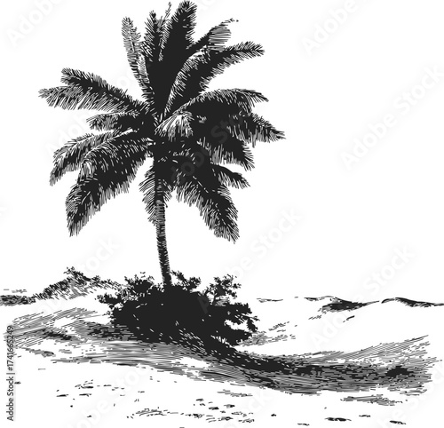 Palm tree sketch hand drawn on sandy beach landscape — stock vector