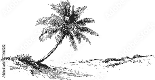 Palm tree sketch hand drawn on sandy beach landscape — stock vector
