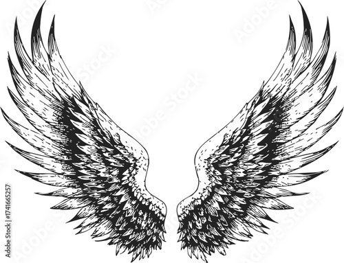 Angel wings sketch hand drawn detailed feathered symmetrical illustration — stock vector