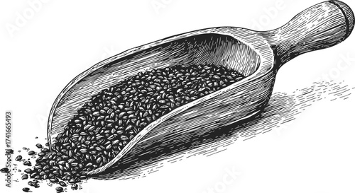 Wooden scoop sketch hand drawn with seeds spilling out — stock vector