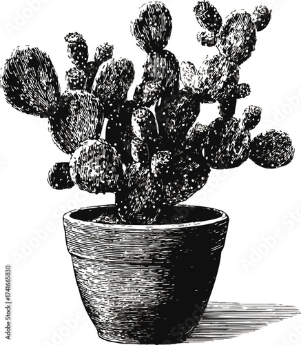 Cactus in pot sketch, hand drawn style, detailed prickly plant illustration — stock vector