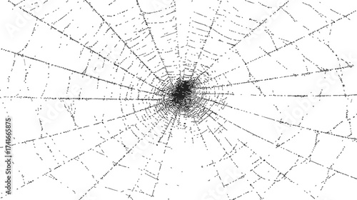Spider web sketch, hand drawn style, detailed radial lines on white background — stock vector