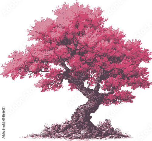 Cherry blossom tree sketch hand drawn with detailed pink foliage and textured trunk — stock vector