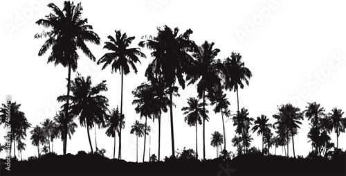 Palm tree silhouette vector, tropical landscape with dense palm trees on white background — stock vector