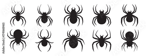 silhouette spider Halloween decorative elements set. spider isolated Halloween black spider silhouettes design for decor.