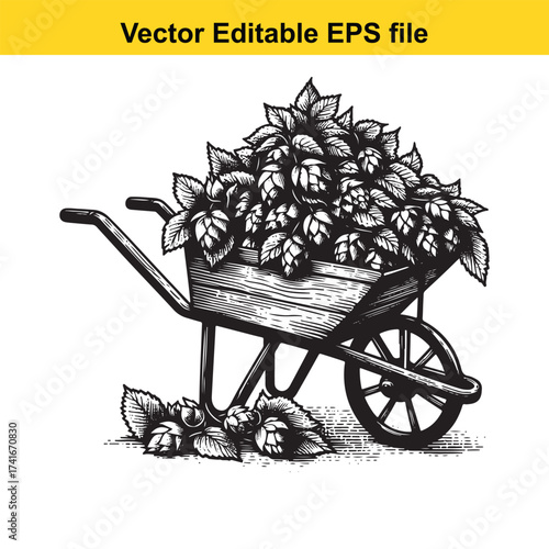 Vector art of vintage wheelbarrow filled with hops