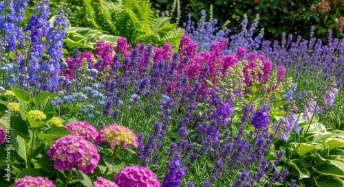 Colorful perennial flower bed with lavender and delphiniums in a summer garden.