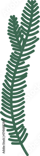 Stylized Fern Leaf