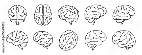 brain icon doodle hand drawn set. Outline drawing brain line clipart symbol collection