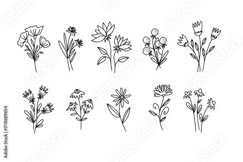 Flower simple vector icon. Doodle outline plant. Drawings element silhouette