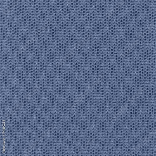 Blue Piqué Knit Fabric