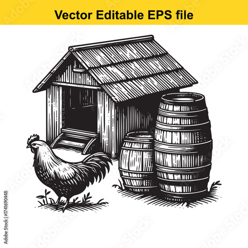 Vector art of rooster and barrels near a wooden shed