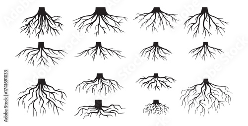 Various realistic tree roots, shrub roots. Parts of plant, root system tree stump. Dendrology, woody plants. Sketch doodle drawing.