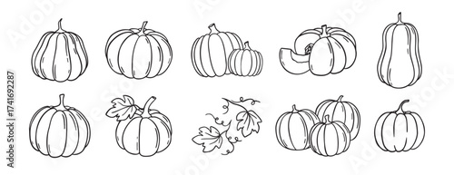 pumpkin and pumpkin leaves autumn harvest doodle hand drawn icon set. Outline drawing pumpkin line clipart symbol collection